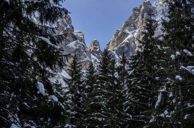 Tarvisio. Kışın Julian Alplerinin eteklerinde Riofreddo Vadisi