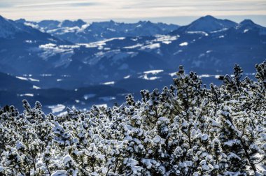 Discovering the Renon plateau in winter. Breathtaking views of the Dolomites. clipart