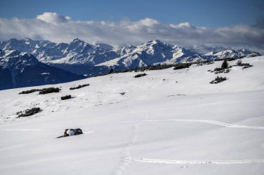 Discovering the Renon plateau in winter. Breathtaking views of the Dolomites. clipart