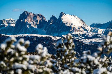 Kışın Renon Platosu 'nu keşfetmek. Dolomitlerin nefes kesici manzarası.