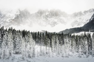 Carezza Gölü. Kışın Doğa Dolomitlerinin Manzarası.