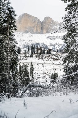 Carezza Gölü. Kışın Doğa Dolomitlerinin Manzarası.