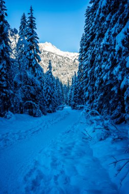 Gündüz vakti, karlı dağlarla kaplı ormandaki nehir manzarası. 
