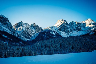 Sappada 'daki Buz Şafağı' nda Karlı Orman. Dolomitlerin Manzarası.