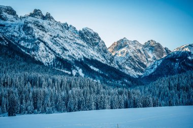 Sappada 'daki Buz Şafağı' nda Karlı Orman. Dolomitlerin Manzarası.
