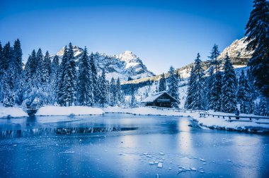 Kış dağlarında karla kaplı ağaçlarla çevrili göldeki küçük evin gündüz manzarası 
