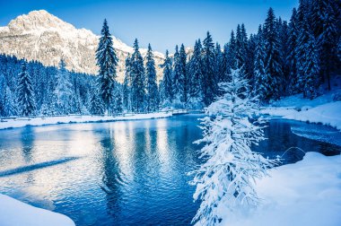 Kış dağlarında karla kaplı ağaçlarla çevrili göl manzarası 