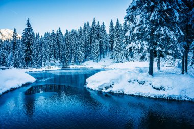 Kış dağlarında karla kaplı ağaçlarla çevrili göl manzarası 
