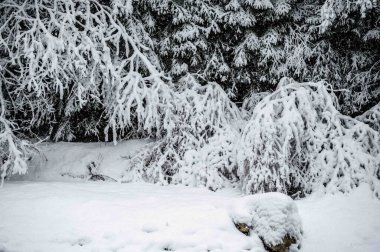 İtalya 'da şiddetli kar altında Val di Fassa' nın mücevheri Canazei 'nin manzaralı kış günü manzarası 