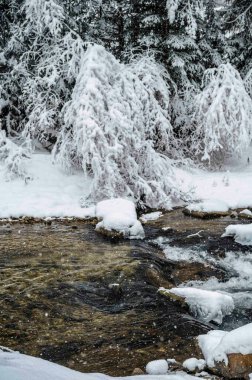 İtalya 'da şiddetli kar altında Val di Fassa' nın mücevheri Canazei 'nin manzaralı kış günü manzarası 