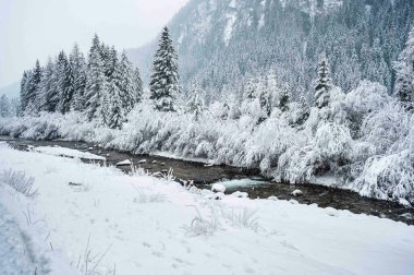 İtalya 'da şiddetli kar altında Val di Fassa' nın mücevheri Canazei 'nin manzaralı kış günü manzarası 