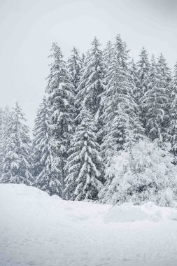 İtalya 'da şiddetli kar altında Val di Fassa' nın mücevheri Canazei 'nin manzaralı kış günü manzarası 