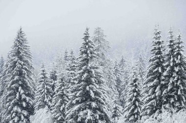 İtalya 'da şiddetli kar altında Val di Fassa' nın mücevheri Canazei 'nin manzaralı kış günü manzarası 