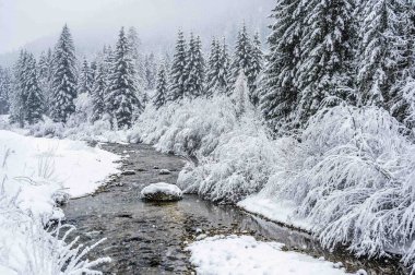 İtalya 'da şiddetli kar altında Val di Fassa' nın mücevheri Canazei 'nin manzaralı kış günü manzarası 