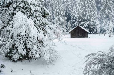 İtalya 'da şiddetli kar altında Val di Fassa' nın mücevheri Canazei 'nin manzaralı kış günü manzarası 