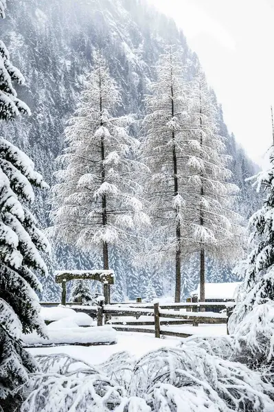 İtalya 'da şiddetli kar altında Val di Fassa' nın mücevheri Canazei 'nin manzaralı kış günü manzarası 