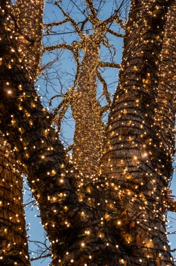 Merano, İtalya 'da dekore edilmiş mimarinin manzarası. Noel büyüsü şehri