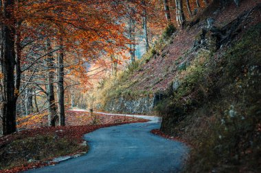 Val d 'Arzino vadisinin sonbahar manzarası 