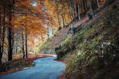 Val d 'Arzino vadisinin sonbahar manzarası 