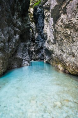 Bozulmamış doğa manzarası. Raccolana deresinin geçidi. Chiusaforte. Friuli.