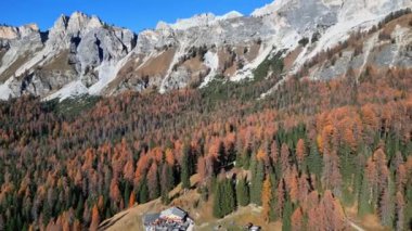 Sonbahar, Cortina d 'Ampezzo Vadisi' ndeki ormanın sessizliğinde. Büyülü renkli tarlalar ve rüya gibi Dolomite tepeleri.