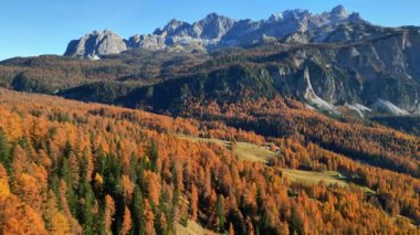 Sonbahar, Cortina d 'Ampezzo Vadisi' ndeki ormanın sessizliğinde. Büyülü renkli tarlalar ve rüya gibi Dolomite tepeleri.