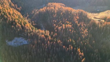 Sonbahar, Carnia ormanlarının sükunetinde. Sauris ve Casera Razzo arasındaki Alp otlakları ve ormanlar.