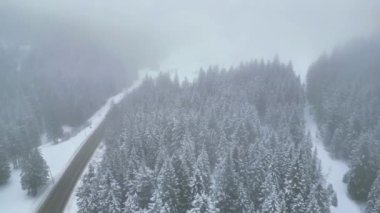 Yukarıdan seyrüsefer manzarası. Dolomitlerdeki karla kaplı ormanlar. Kar yağarken