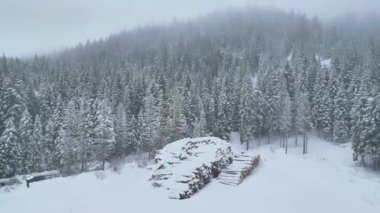 Yukarıdan seyrüsefer manzarası. Dolomitlerdeki karla kaplı ormanlar. Kar yağarken
