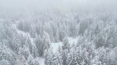 Yukarıdan seyrüsefer manzarası. Dolomitlerdeki karla kaplı ormanlar. Kar yağarken