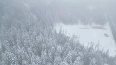 Yukarıdan seyrüsefer manzarası. Dolomitlerdeki karla kaplı ormanlar. Kar yağarken