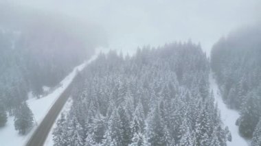 Yukarıdan seyrüsefer manzarası. Dolomitlerdeki karla kaplı ormanlar. Kar yağarken