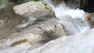 Kozjak şelaleleri. Doğal ve vahşi Slovenya. Soa Vadisi
