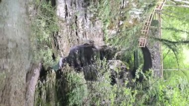 Kozjak şelaleleri. Doğal ve vahşi Slovenya. Soa Vadisi