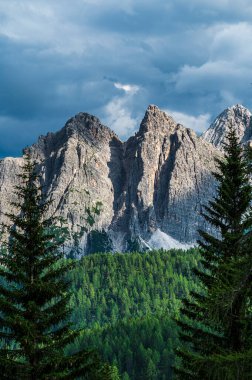 Ampezzo Dolomitlerinin çevre, bitki örtüsü ve doğası, Cristallo Dağı 'nın hakimiyetinde..
