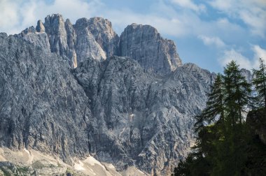 Ampezzo Dolomitlerinin çevre, bitki örtüsü ve doğası, Cristallo Dağı 'nın hakimiyetinde..