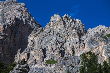 Ampezzo Dolomitlerinin çevre, bitki örtüsü ve doğası, Cristallo Dağı 'nın hakimiyetinde..