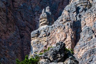 Ampezzo Dolomitlerinin çevre, bitki örtüsü ve doğası, Cristallo Dağı 'nın hakimiyetinde..