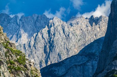 Ampezzo Dolomitlerinin çevre, bitki örtüsü ve doğası, Cristallo Dağı 'nın hakimiyetinde..