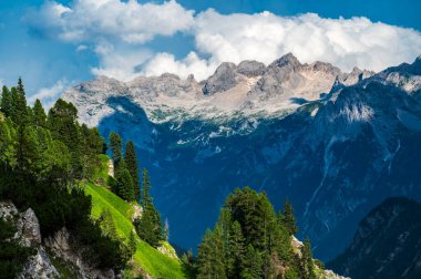 Ampezzo Dolomitlerinin çevre, bitki örtüsü ve doğası, Cristallo Dağı 'nın hakimiyetinde..