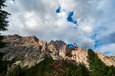 Ampezzo Dolomitlerinin çevre, bitki örtüsü ve doğası, Cristallo Dağı 'nın hakimiyetinde..