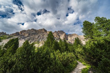 Ampezzo Dolomitlerinin çevre, bitki örtüsü ve doğası, Cristallo Dağı 'nın hakimiyetinde..