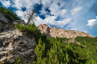 Ampezzo Dolomitlerinin çevre, bitki örtüsü ve doğası, Cristallo Dağı 'nın hakimiyetinde..