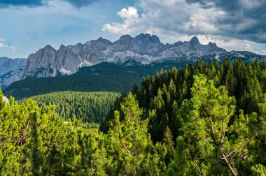 Ampezzo Dolomitlerinin çevre, bitki örtüsü ve doğası, Cristallo Dağı 'nın hakimiyetinde..