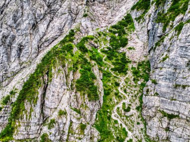 Güzel manzara, doğa. Vahşi dağlar, Grauzaria. Friuli. 
