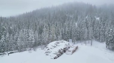 Karla kaplı ağaçlarla kaplı güzel kış manzarası 