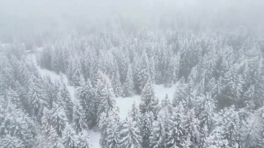 Karla kaplı ağaçlarla kaplı güzel kış manzarası 