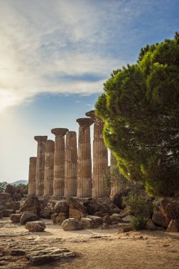 Tapınaklar Vadisi (Valle dei Templi), MÖ 5. yüzyılda inşa edilen antik bir Yunan tapınağı olan Konkordiya Tapınağı, Agrigento, Sicilya. Concordia Tapınağı, Agrigento, Sicilya, İtalya