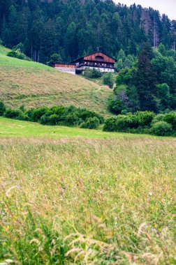 Alta Val Pusteria 'nın panoramik görüntüsü. Güney Tyrol