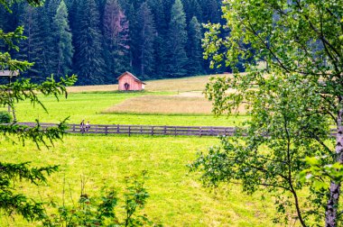 Evleri olan Alta Val Pusteria 'nın panoramik görüntüsü. Güney Tyrol
